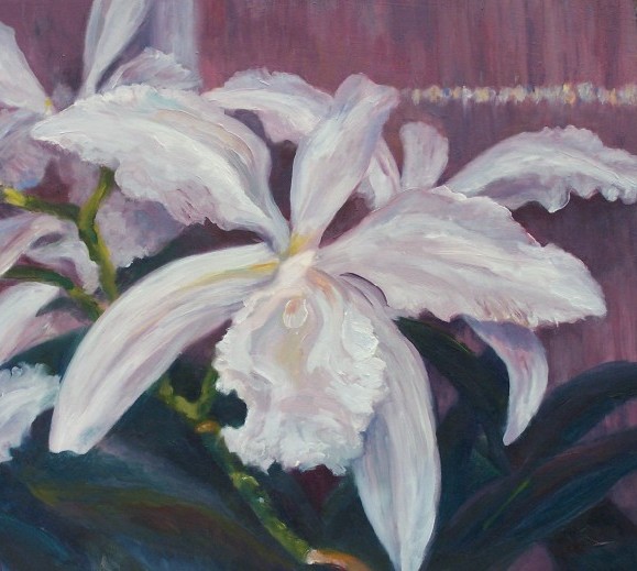 Laura McMillan Orchid oil paintings