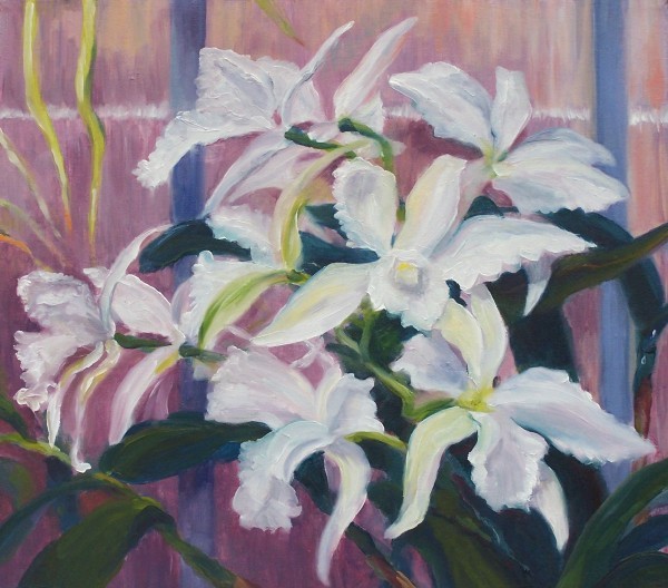 Laura McMillan Orchid oil paintings